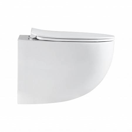 Подвесной унитаз безободковый Terminus Енисей Monolit 560х390 белый Подольск - фото 4