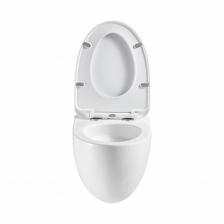 Подвесной унитаз безободковый Terminus Енисей Monolit 560х390 белый Подольск - фото 5