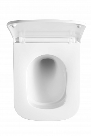 Подвесной унитаз безободковый Terminus Ватикан Monolit 490х340 белый Подольск - фото 3